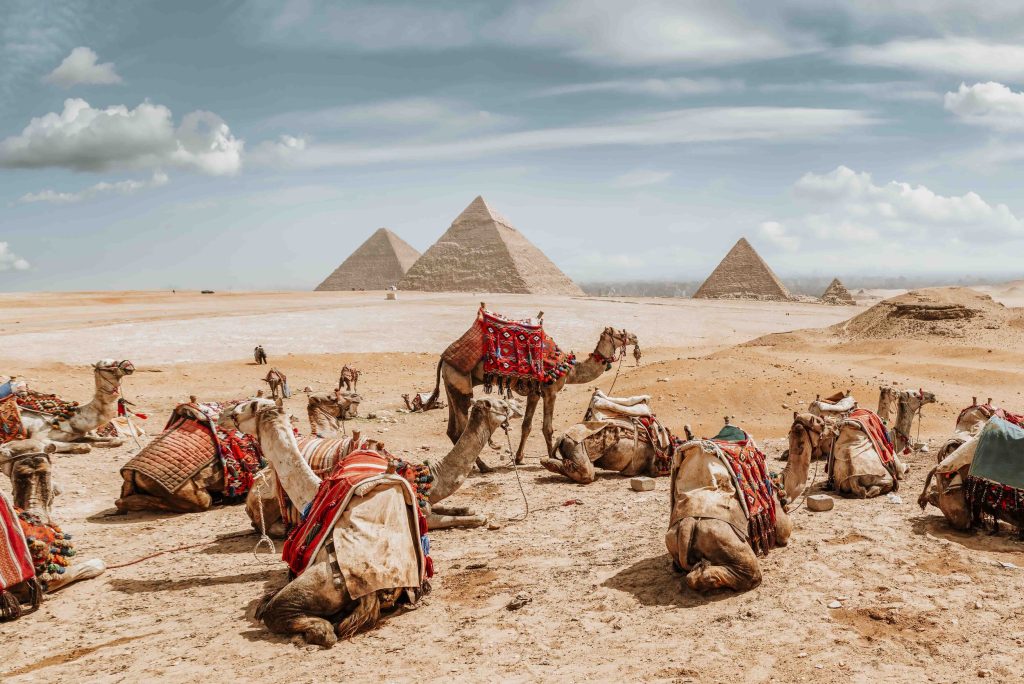 Heading to Egypt this year? Prepare for an unforgettable adventure! From exploring ancient wonders to diving into vibrant markets, Egypt offers a treasure trove of experiences for every type of traveler. In this blog, we'll guide you through the top activities to add to your Egypt itinerary: