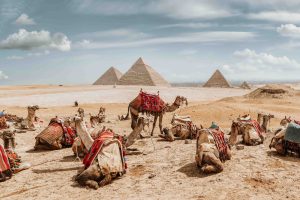 Heading to Egypt this year? Prepare for an unforgettable adventure! From exploring ancient wonders to diving into vibrant markets, Egypt offers a treasure trove of experiences for every type of traveler.In this blog, we'll guide you through the top activities to add to your Egypt itinerary:
